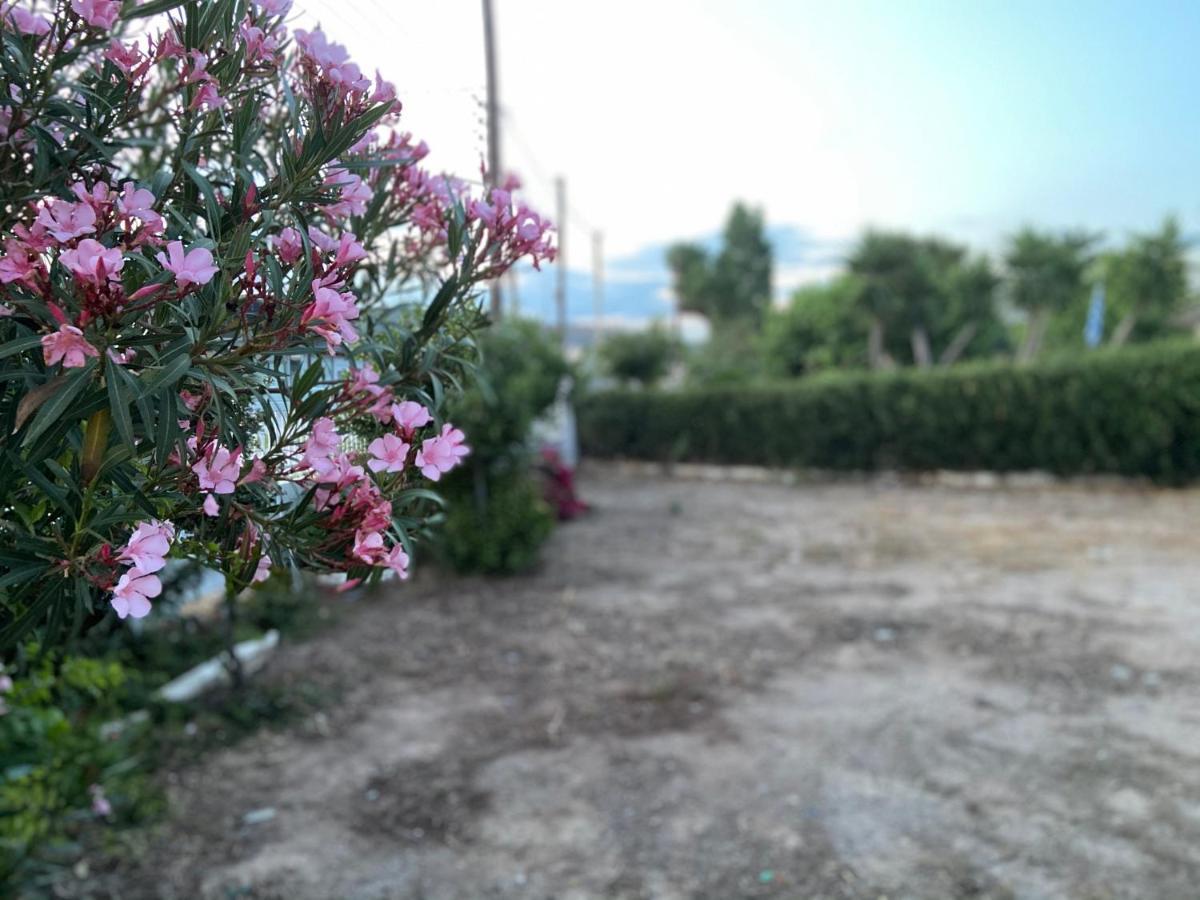 Athens Riviera: 2 Bed / 3' Walk From The Beach Agia Marina  Exteriör bild